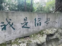 -鲁镇