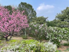 -北京西山国家森林公园