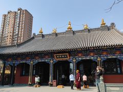 -护国法轮寺