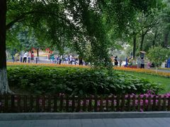 -丰台花园
