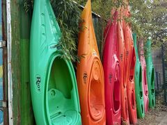 -上海海湾国家森林公园