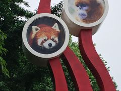 -成都动物园