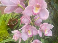 -国家植物园南园