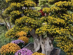 -杭州植物园