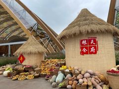 -中国天府农业博览园