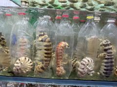 -大茄来海鲜餐厅(亚洲城分行)