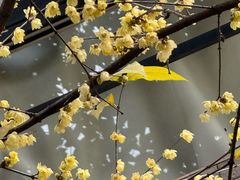 -无名居(农展馆店)