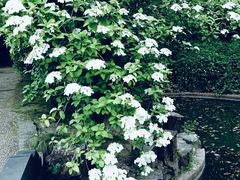 -上海市龙华烈士陵园