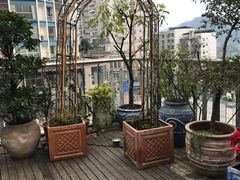 景观位-屋顶花园餐厅(步行街老地王大厦店)