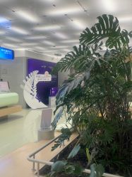 点击看大图 -纯粹医美