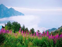 -九峰山