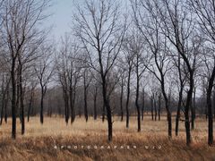 -野鸭湖国家湿地公园