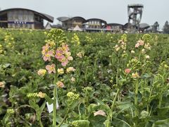 -中国天府农业博览园