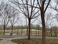 -东郊湿地公园