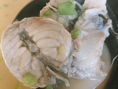 白汤河豚鱼-天正河鲀·河豚亭(大连店)