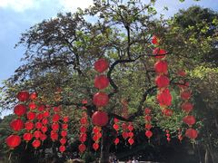 -东部华侨城