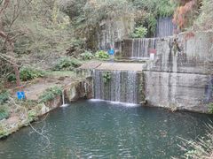 -千岛湖东南湖区