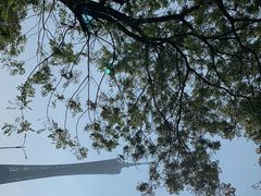 -海心沙亚运公园