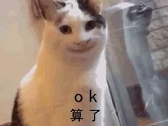 -汪小喵宠物·戴维斯乐芳希施宠馨宝皮毛调理洗护店