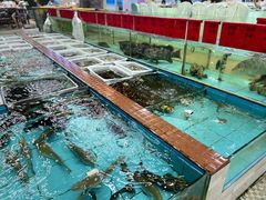 水产区-景好海鲜餐厅(大鹏必选旅游店)