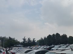 -上海佘山国家森林公园东门地面停车场