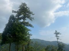 -大围山国家森林公园