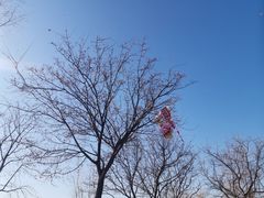 -绿堤公园
