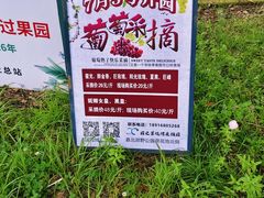 -嘉北郊野公园