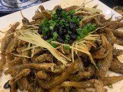 -丰食农家乐