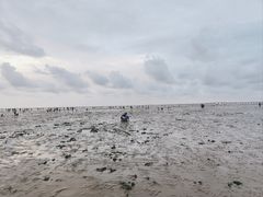 -南汇新城海滩