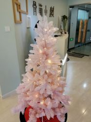 -至臻康妍健康管理中心