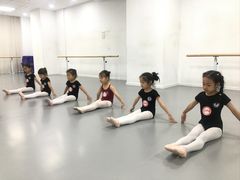 -西安小天鹅艺术团(金花路校区)