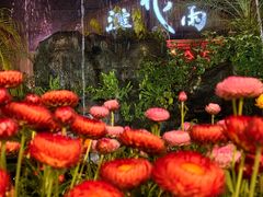 -花溪雨·森林餐厅(石基店)