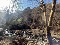 -秦岭终南山世界地质公园翠华山景区