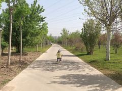 -甜心庄园·甜心草莓采摘园(西青中北店)