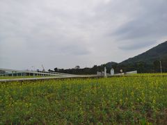-艾米稻香小镇