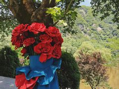 -秦岭终南山世界地质公园翠华山景区