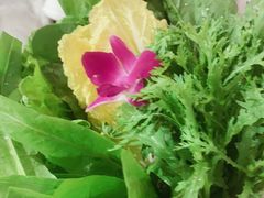 -川西坝子(老军营店)