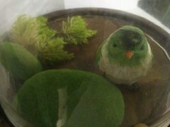 -小雅木姜子烤鸡·贵州菜(鸿通城店)
