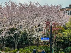 -常熟路(地铁站)