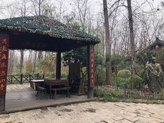 -合肥滨湖国家森林公园