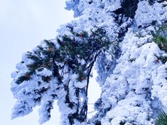 -华山风景名胜区