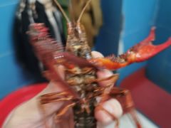 -渔人湾码头海鲜市场负二楼