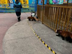 -海合安成都极地海洋公园