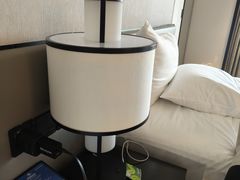 -新加坡乌节希尔顿酒店 (SG Clean)