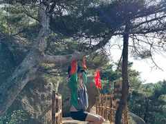 -鲁山国家森林公园