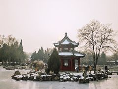 -莲池书院博物馆