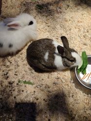 -酷嗒动物文化乐园(cutezoo西溪乐天城店)