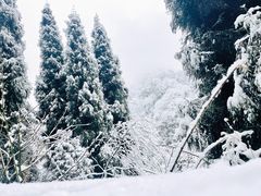 -九峰山