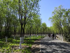 -东郊湿地公园